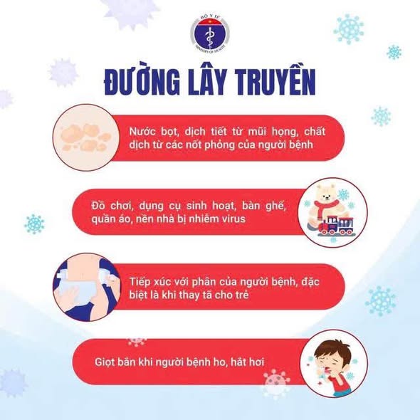 661352263 1526793466114709 7869321090738721185 n